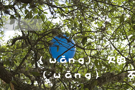 網(wǎng)貸欠的錢不還有什么后果(欠網(wǎng)貸還不上會有什么后果)