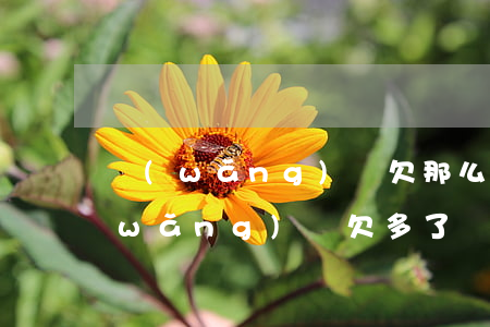 網(wǎng)貸欠那么多沒錢怎么還(網(wǎng)貸欠多了沒錢還怎么辦)