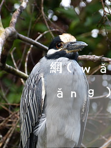 網(wǎng)貸欠銀行錢多少刑事(網(wǎng)貸欠錢銀行可以貸款嗎)