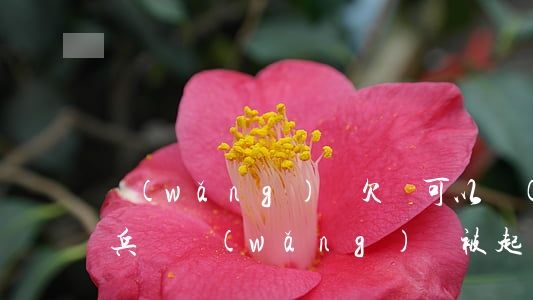 網(wǎng)貸欠錢可以當(dāng)兵嗎（網(wǎng)貸被起訴能當(dāng)兵嗎）