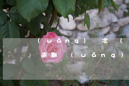 網(wǎng)貸次數(shù)多還清但沒逾期(網(wǎng)貸逾期過,還清了,還可以貸嗎?)