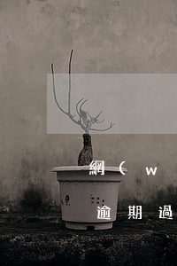 網(wǎng)貸次數(shù)很多但沒逾期過