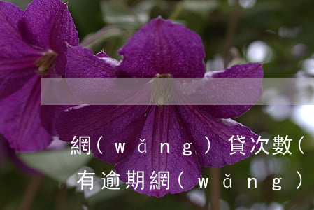網(wǎng)貸次數(shù)過多但沒有逾期(網(wǎng)貸逾期最多可以逾期多久)