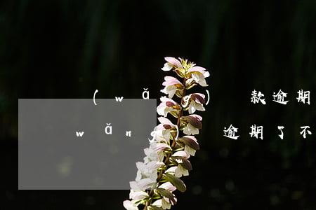 網(wǎng)貸款逾期不還什么后果(網(wǎng)貸逾期了不還會怎么樣)