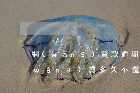 網(wǎng)貸款逾期不還多久立案(網(wǎng)貸多久不還算逾期)