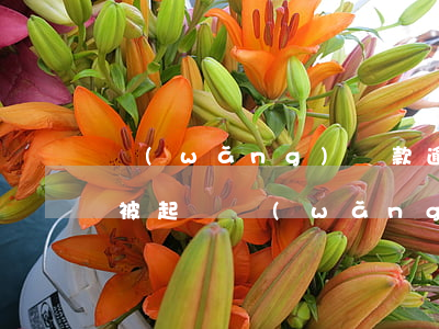 網(wǎng)貸款逾期半年會(huì)被起訴(網(wǎng)貸逾期了半年的后果)