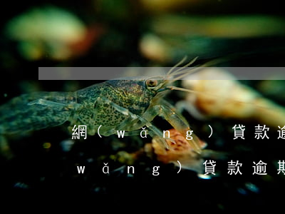網(wǎng)貸款逾期記錄多久消除(網(wǎng)貸款逾期記錄多久消除)