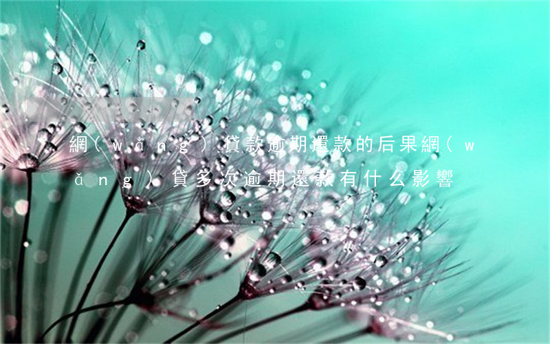 網(wǎng)貸款逾期還款的后果(網(wǎng)貸多次逾期還款有什么影響)