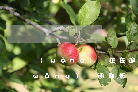 網(wǎng)貸正在逾期影響政審嗎(網(wǎng)貸逾期影響公務(wù)員政審嗎)
