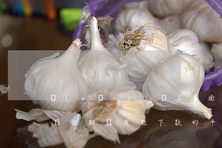 網(wǎng)貸正在逾期能開通借唄嗎(借唄逾期還有能下款的平臺嗎)