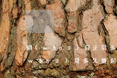 網(wǎng)貸正常多久會起訴(一般網(wǎng)貸多久會起訴)