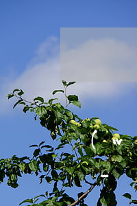 網(wǎng)貸正常還款會給家里打電話嗎-