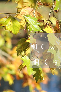 網(wǎng)貸每個(gè)月都逾期一個(gè)星期怎么辦-網(wǎng)貸每個(gè)月都逾期一個(gè)星期怎么辦啊