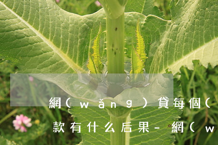 網(wǎng)貸每個(gè)月都逾期還款有什么后果-網(wǎng)貸每個(gè)月都逾期還款有什么后果嗎