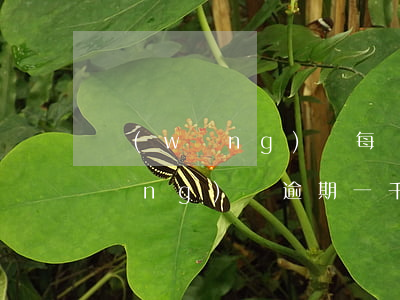 網(wǎng)貸每個月逾期10天(網(wǎng)貸逾期一千多天)
