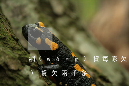網(wǎng)貸每家欠幾千(網(wǎng)貸欠兩千多)