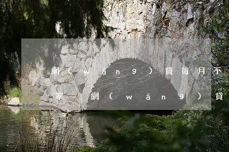 網(wǎng)貸每月不等額還款怎么算利率-網(wǎng)貸每月不等額還款怎么算利率的