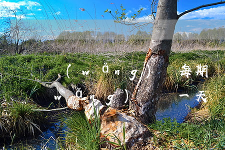 網(wǎng)貸每期遲幾天還算逾期(網(wǎng)貸遲一天還款也算逾期嗎)