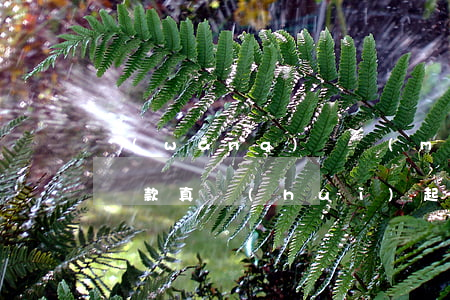 網(wǎng)貸沒(méi)拿到錢卻讓還款真會(huì)起訴嗎-網(wǎng)貸沒(méi)拿到錢卻要我還