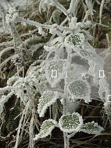 網(wǎng)貸沒(méi)收到錢說(shuō)逾期了(網(wǎng)貸要逾期了沒(méi)錢你們是怎么做的)