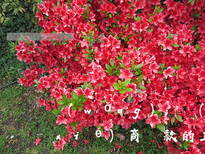 網(wǎng)貸沒(méi)有逾期協(xié)商還款的正確方法-網(wǎng)貸沒(méi)有逾期協(xié)商還款的正確方法是什么