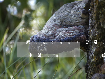 網(wǎng)貸沒(méi)有逾期影響申請(qǐng)信用卡嗎-網(wǎng)貸沒(méi)有逾期影響申請(qǐng)信用卡嗎知乎