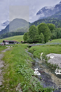 網(wǎng)貸沒(méi)有逾期征信花嗎(征信花,有負(fù)債,沒(méi)逾期什么可以下款)