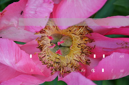 網(wǎng)貸沒(méi)有逾期會(huì)上征信(網(wǎng)貸但是沒(méi)有逾期還款會(huì)影響征信嗎)