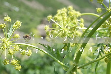 網(wǎng)貸沒(méi)有逾期申請(qǐng)信用卡被拒