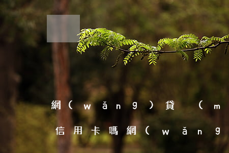 網(wǎng)貸沒(méi)有逾期能辦信用卡嗎(網(wǎng)貸沒(méi)有逾期能辦信用卡嗎)
