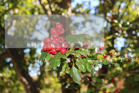 網(wǎng)貸沒(méi)超過(guò)一萬(wàn)不還會(huì)怎樣（網(wǎng)貸不夠一萬(wàn)會(huì)起訴嗎）