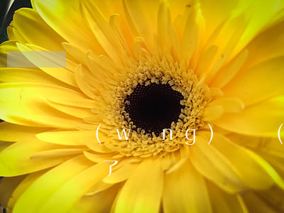 網(wǎng)貸沒(méi)逾期借不出錢了