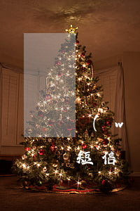 網(wǎng)貸沒(méi)逾期卻收到短信(網(wǎng)貸逾期短信收到立案通知是真的不)