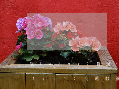 網(wǎng)貸沒(méi)逾期怎么協(xié)商還款(網(wǎng)貸逾期怎么協(xié)商還本金)