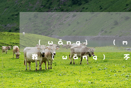 網(wǎng)貸沒(méi)還法院起訴我(網(wǎng)貸不還被告上法庭)