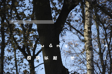 網(wǎng)貸沒(méi)還被告知公司可以起訴他嗎-網(wǎng)貸沒(méi)還被告知公司可以起訴他嗎怎么辦