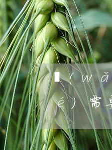 網(wǎng)貸沒到賬資金被凍結(jié)需要還款嗎-網(wǎng)貸沒到賬資金被凍結(jié)需要還款嗎怎么辦