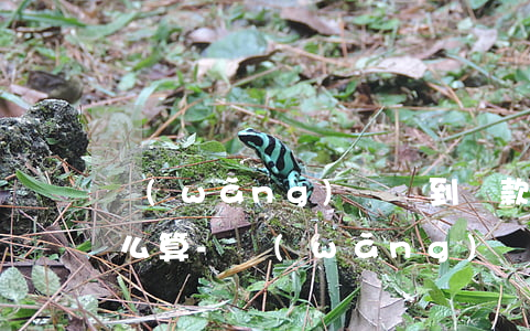 網(wǎng)貸沒到還款日提前給扣了怎么算-網(wǎng)貸沒到還款日提前給扣了怎么算利息