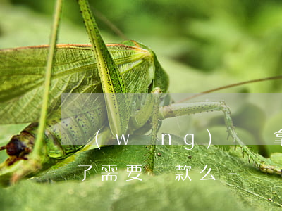 網(wǎng)貸沒拿到錢凍結(jié)了需要還款么-