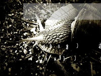 網(wǎng)貸沒提現(xiàn)要交會(huì)員費(fèi)要還款嗎-