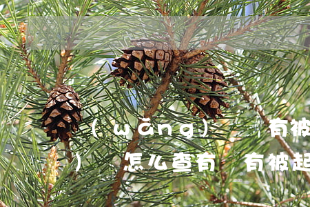 網(wǎng)貸沒有被起訴 網(wǎng)貸怎么查有沒有被起訴
