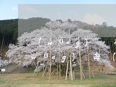網(wǎng)貸沒有逾期但是太頻繁(網(wǎng)貸每個(gè)月都逾期)