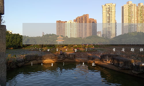 網(wǎng)貸沒有逾期但是被拒應(yīng)該怎么辦-網(wǎng)貸沒有逾期但是被拒應(yīng)該怎么辦呢