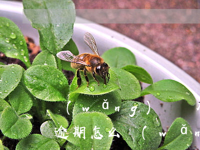 網(wǎng)貸沒有逾期信用卡下不來(沒逾期怎么網(wǎng)貸下不來)