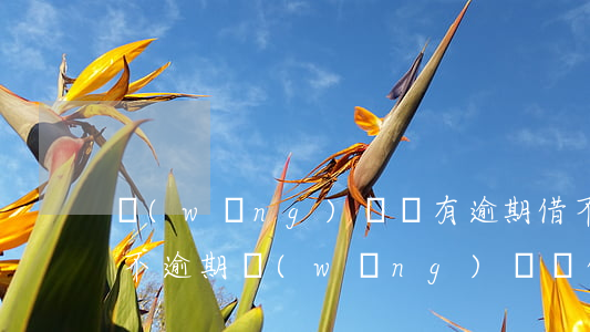 網(wǎng)貸沒有逾期借不出錢(為什么不逾期網(wǎng)貸卻借不到錢)