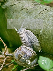 網(wǎng)貸沒有逾期前協(xié)商還款(網(wǎng)貸逾期無力償還如何協(xié)商)