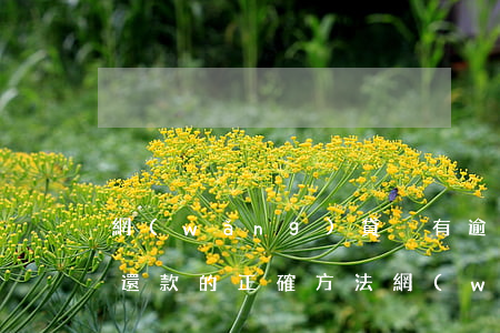 網(wǎng)貸沒有逾期協(xié)商還款的正確方法(網(wǎng)貸逾期暫時還不上怎么協(xié)商)