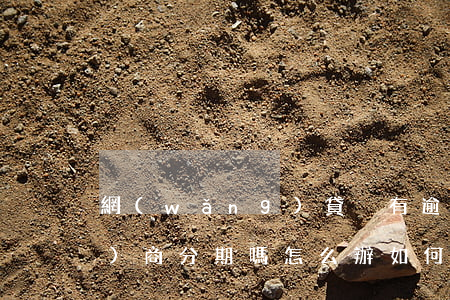 網(wǎng)貸沒有逾期可以協(xié)商分期嗎怎么辦，如何與網(wǎng)貸平臺協(xié)商分期還款？即使未逾期也有解決辦法！