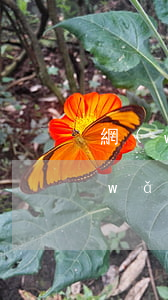 網(wǎng)貸沒有逾期并都還清了(網(wǎng)貸逾期之后還了是不是就沒事了)