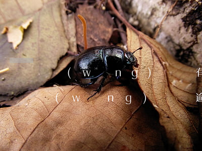 網(wǎng)貸沒有逾期影響征信嗎(有網(wǎng)貸沒逾期征信會(huì)有問題嗎)